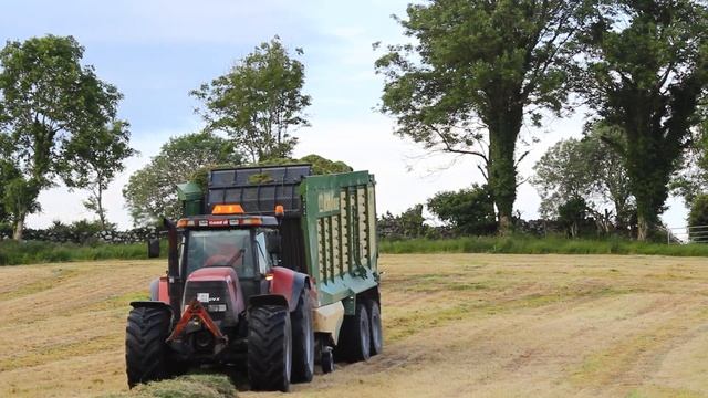 Castleboy Holsteins Silage 2021 | Raw Sound смотреть онлайн