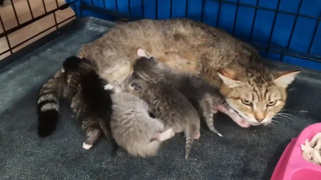 12 апреля 2023 г. смотреть онлайн