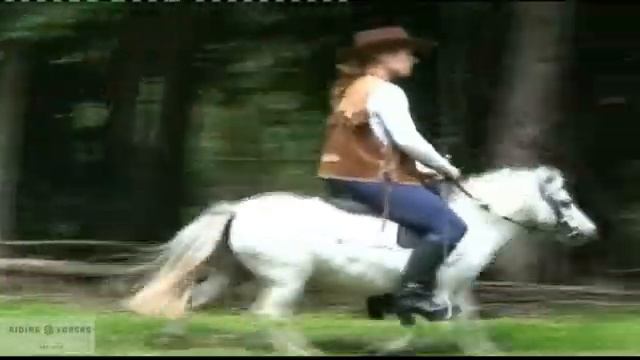 Pony Riding In Fancy Outfits 👗🎠🏰