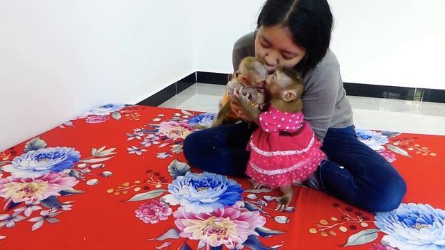 [Wow Very Smart] Mum Teach Little Zuji Learn To K i s s & L0ve Smallest Cici смотреть онлайн