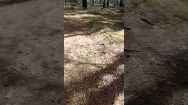 продолжение похода