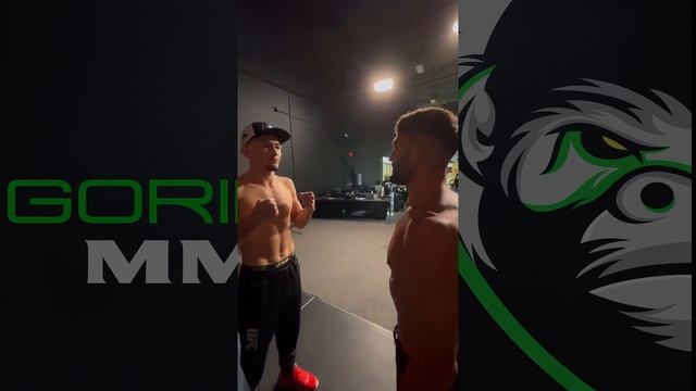 Arman Tsarukyan vs Damir Ismagulov: UFC Vegas 66 Face-off смотреть онлайн