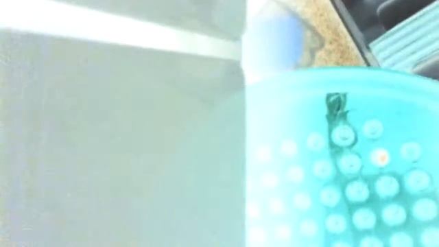 Негатив смотреть онлайн