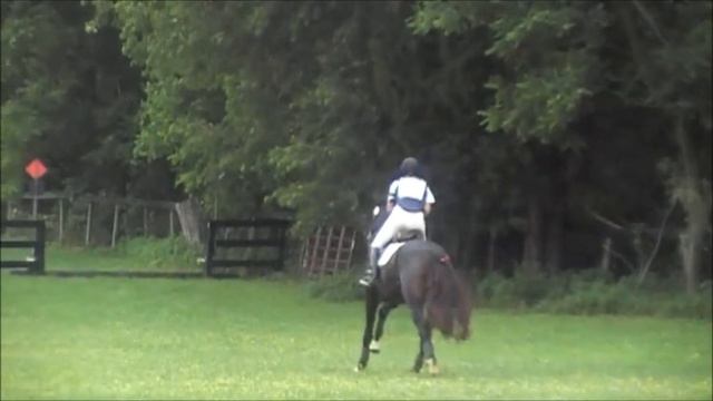 Spring Run Mini Horse Trial 2014 Cross Country смотреть онлайн