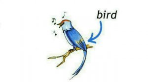 How to Pronounce Bird in British English