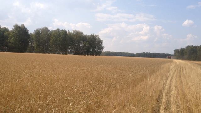 Уборка 2017 г., жатками Озон смотреть онлайн