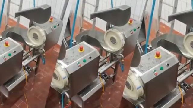 Автоматический пневмозагрузчик "BerWisent" смотреть онлайн