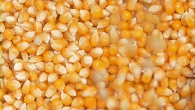 Техника Днепр смотреть онлайн