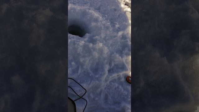 Вот и половил живца смотреть онлайн