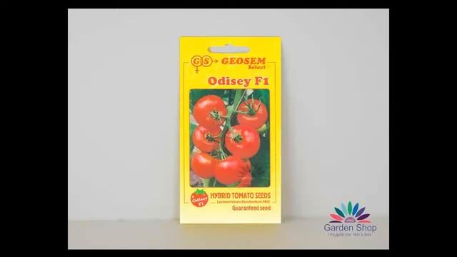 Seeds of tomato Odysseus F1 - perfect for conservatory смотреть онлайн