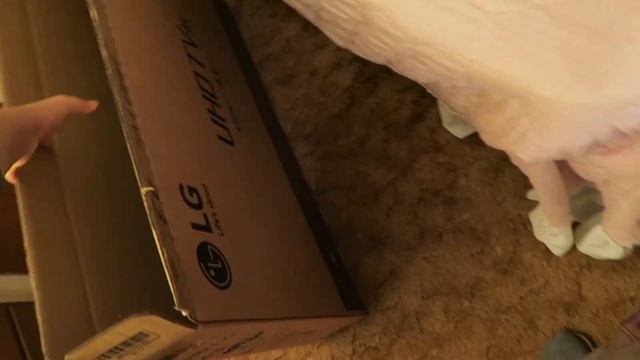 VLOGTOBER 4-Playing with dog, Bought LG 43UJ6300 4k tv -VLOG смотреть онлайн