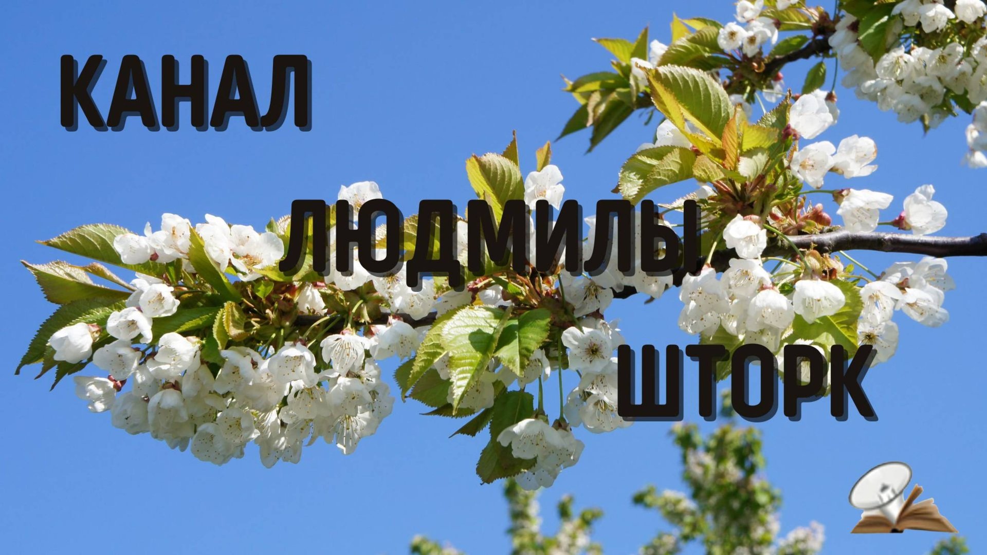 Трейлер канала смотреть онлайн