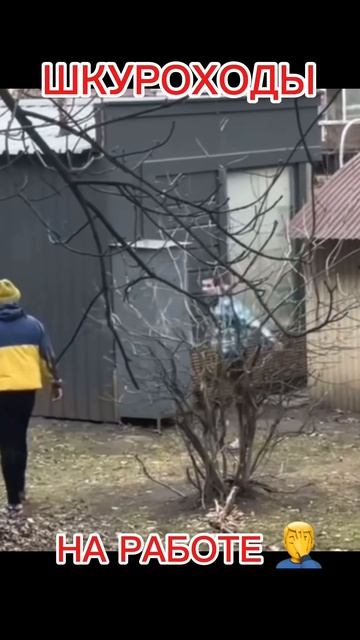 Шкуроходы на работе смотреть онлайн