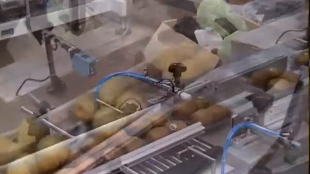 Фрукты в подложке-HURRICANE+ATL.WMV