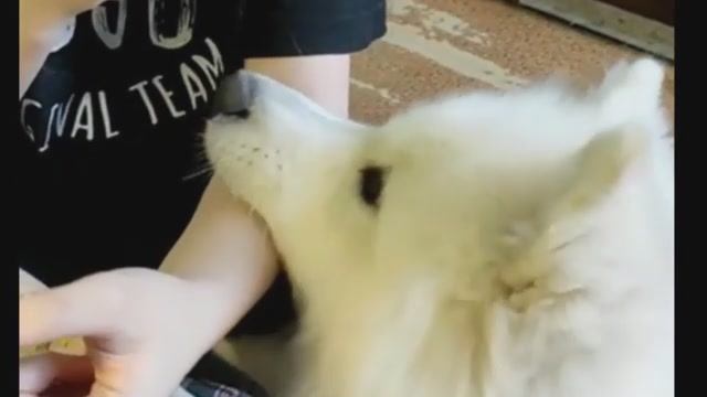 Очень дружная семейка смотреть онлайн