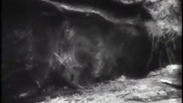 Bolt Thrower - Lest we forget смотреть онлайн