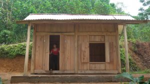 Дорис строит дом 7