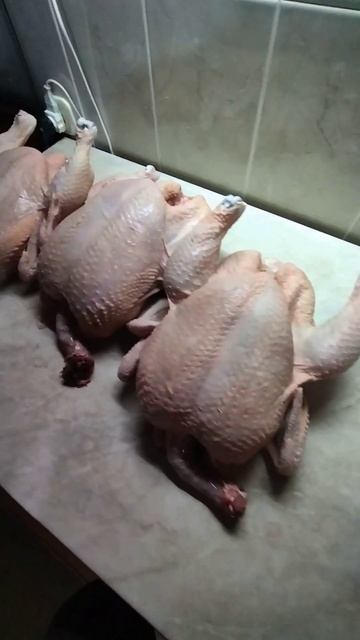 53 дня бройлерам смотреть онлайн