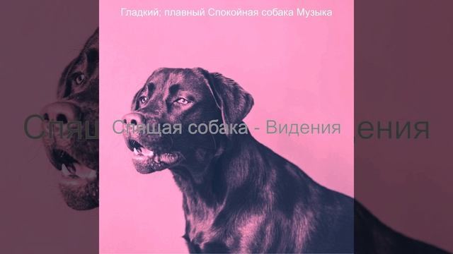 Моменты (Спокойные собаки) смотреть онлайн