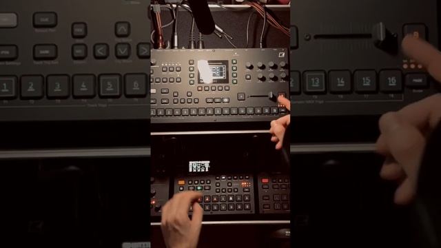 Morning jam on digitakt 2 and octatrack #analogheat #elektrondigitakt #digitaktjam #digitakt смотреть онлайн