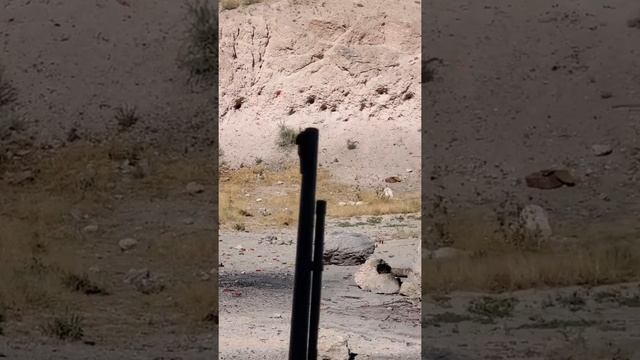 Marlin model 60 .22Lr смотреть онлайн