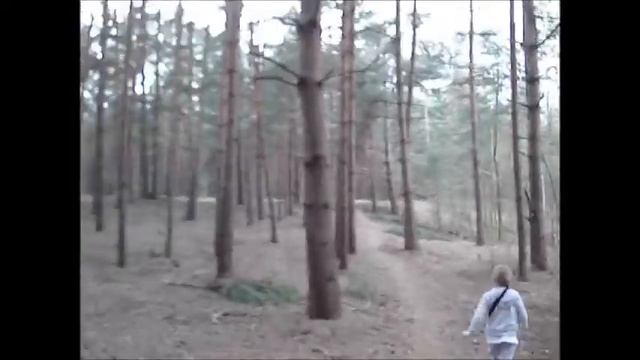 2011 05 03 Серебряный бор смотреть онлайн