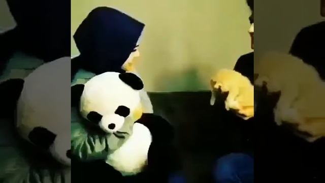 Дуст дори смотреть онлайн