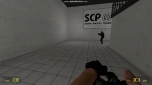 NTF Epsilon 11 Убивает SCP 173 и 106