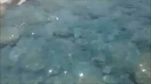 Отзывы клиентов о компании FireFlies смотреть онлайн