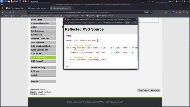 9 Bypassing Server-Side Filters - Part 1 смотреть онлайн