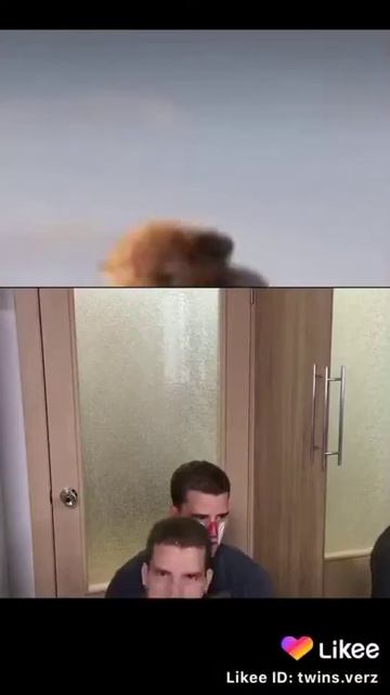 Какие-то дураки скопировали мультфильм Король Лев смотреть онлайн