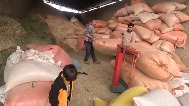 12.02.2024 Ферма матери-одиночки ждет своих овец От городских улиц к загородной жизни смотреть онлайн