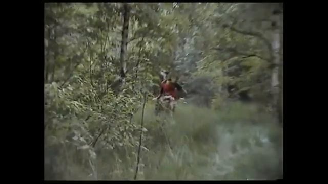 Girl's Magical Pony Ride Through a Deep Forest! 🌲🐎✨ смотреть онлайн