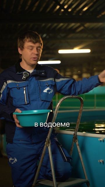 Когда вода замерзает, что происходит с рыбой? #рыба #рыбалка #мифы #природа #животные #узв смотреть онлайн