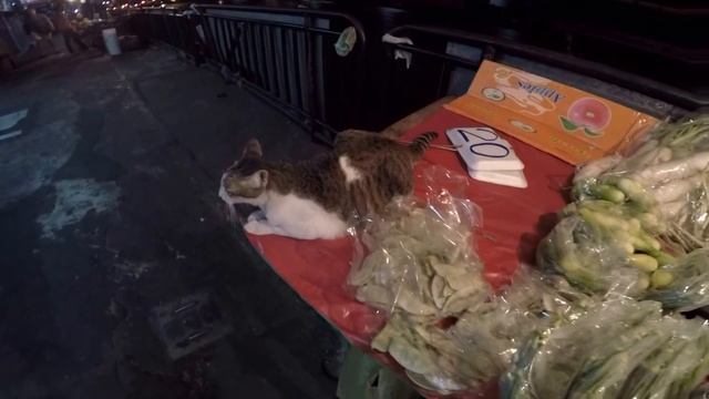 Thai Pussy смотреть онлайн