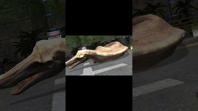 зухомимчик