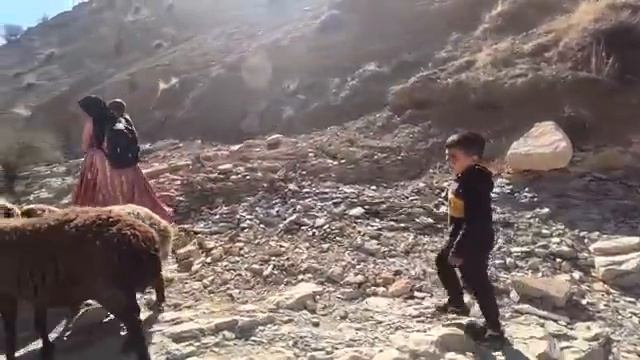 14.02.2024 Возвращение овец домой Путешествие матери-одиночки со своими детьми смотреть онлайн