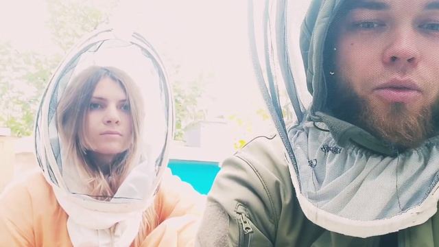 Наша история начала пчеловождения. Пчеловодство как бизнес. Промышленное пчеловодство. смотреть онлайн