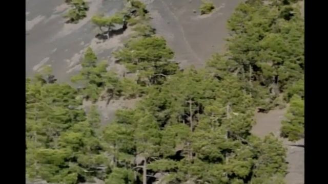 Макрогрифозавр ( В стране гигантов ) смотреть онлайн