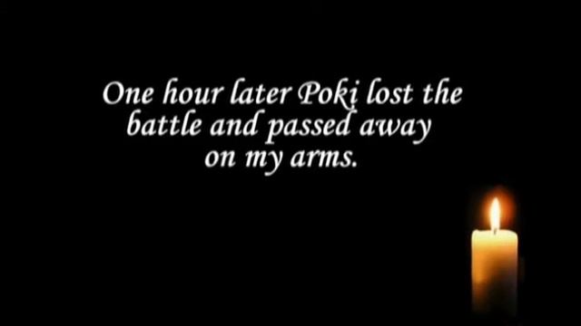 Rainbow Bridge - Britishkings Pokerface смотреть онлайн