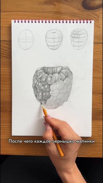 Рисуем малину простым карандашом смотреть онлайн
