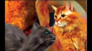 ГИМН КОТОВ ВОИТЕЛЕЙ С КЛИПОМ ЗНАМЕНИЕ ЗВЁЗД АВТОР КРАСНАЯ ЗВЕЗДА КЛИП ПО КВ