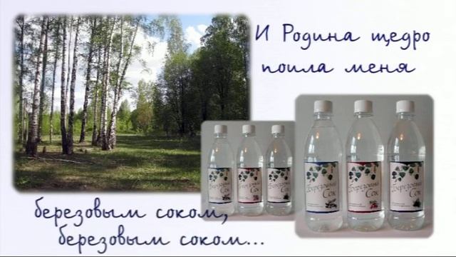 Курсовые ролики