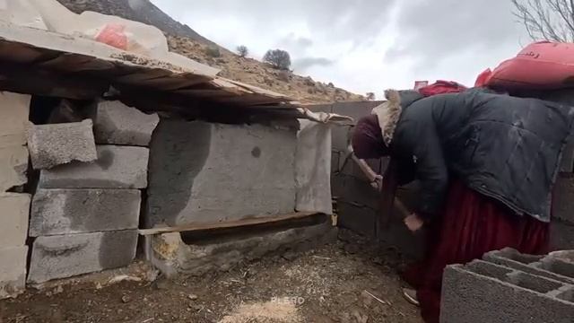 15.12.2023 Работа матери-одиночки в Мокрый день забота как о семье, так и о курином стаде смотреть онлайн