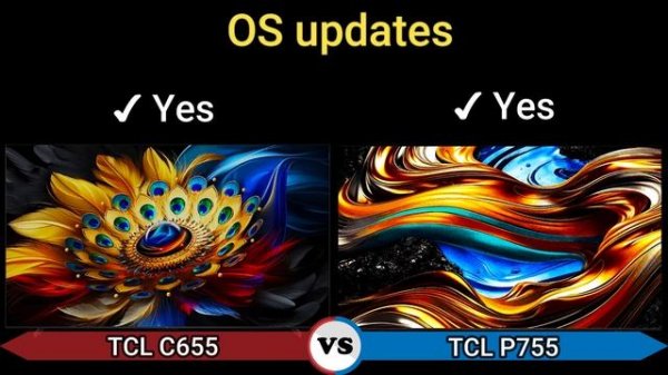 TCL C655 VS P755 LCD TV | TCL Global