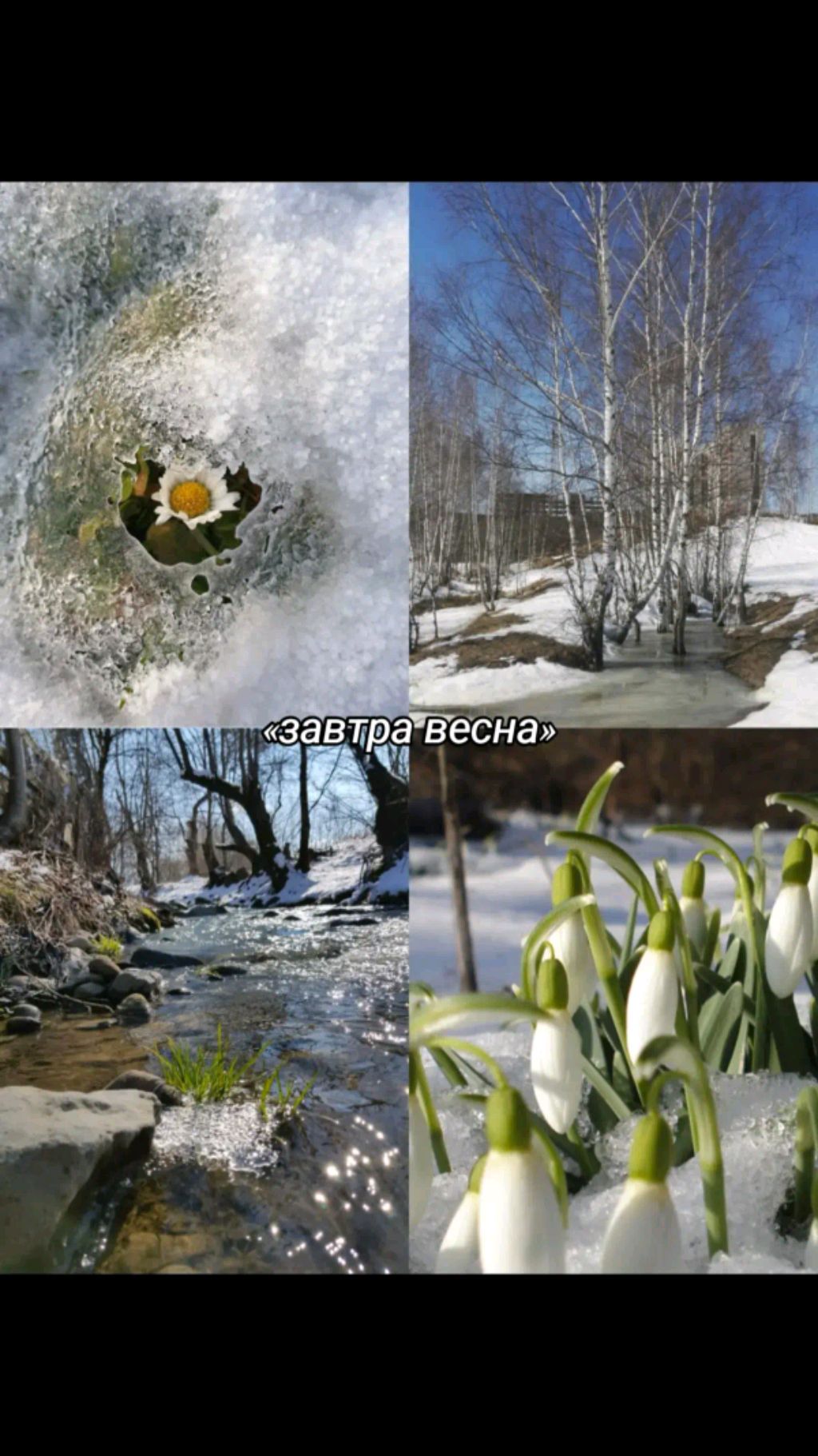 оп эроина оп оп эроина