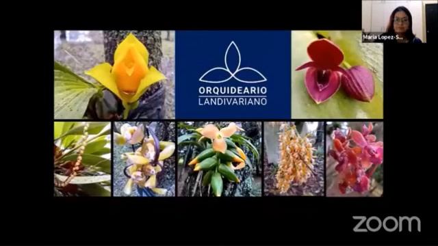 Visita guiada: Conservación de orquídeas amenazadas por la extinción смотреть онлайн