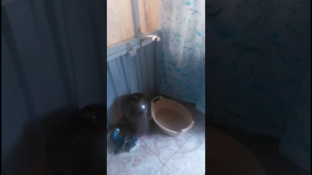 Душ из авто омывателя стёкол