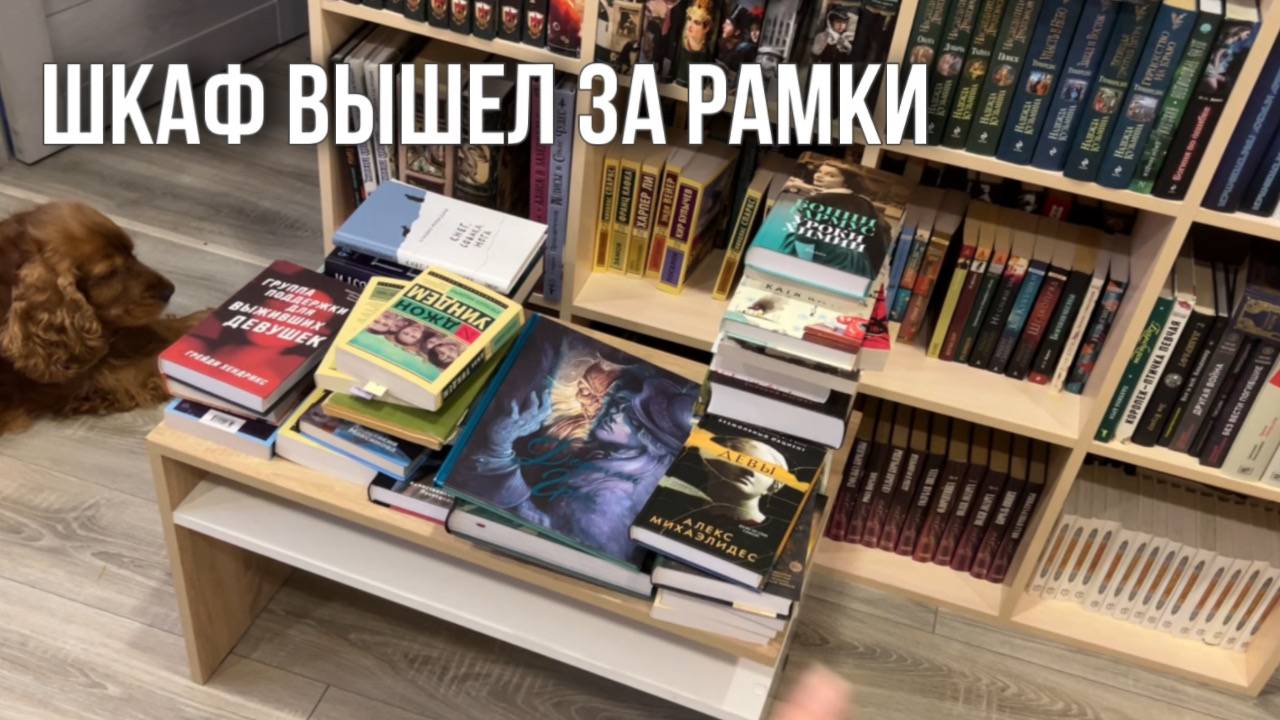 Реорганизация книжного шкафа | 174 непрочитанные книги ...