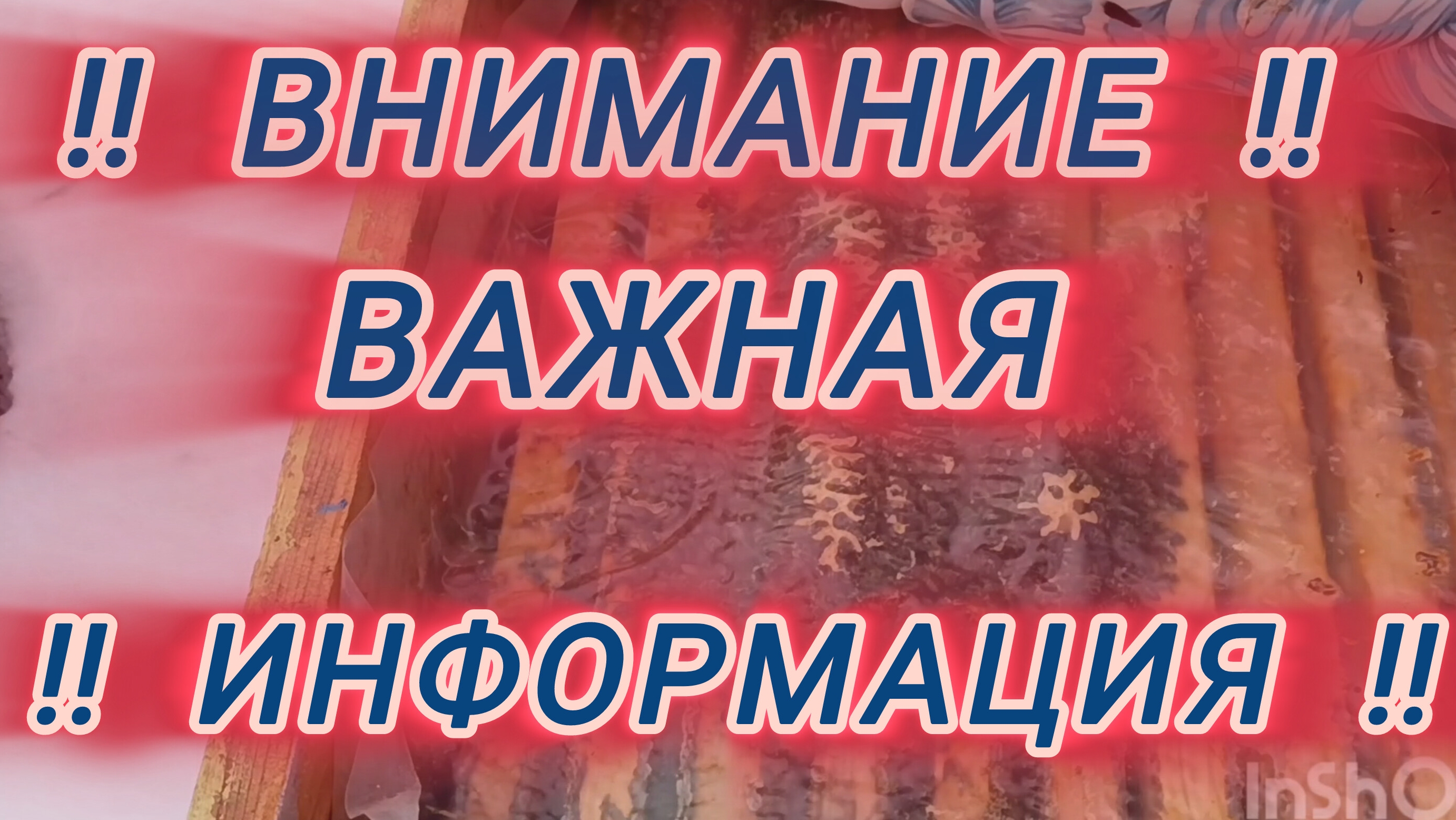 ‼️ Внимание ‼️ Важная ‼️ Информация ‼️ смотреть онлайн